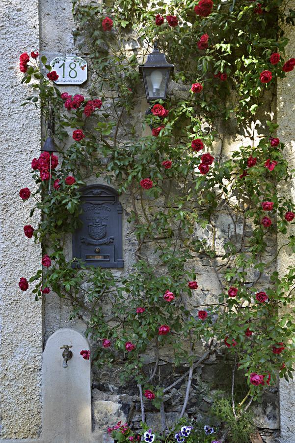 Bed and Breakfast La Casa Dei Nonni Castelbianco Colletta Zewnętrze zdjęcie